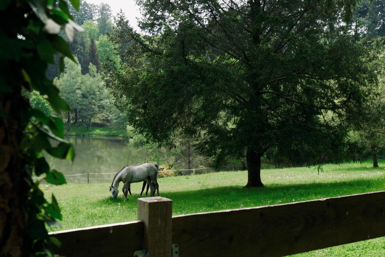 Manoir De Chantemerle Sainte-Fortunade Dış mekan fotoğraf