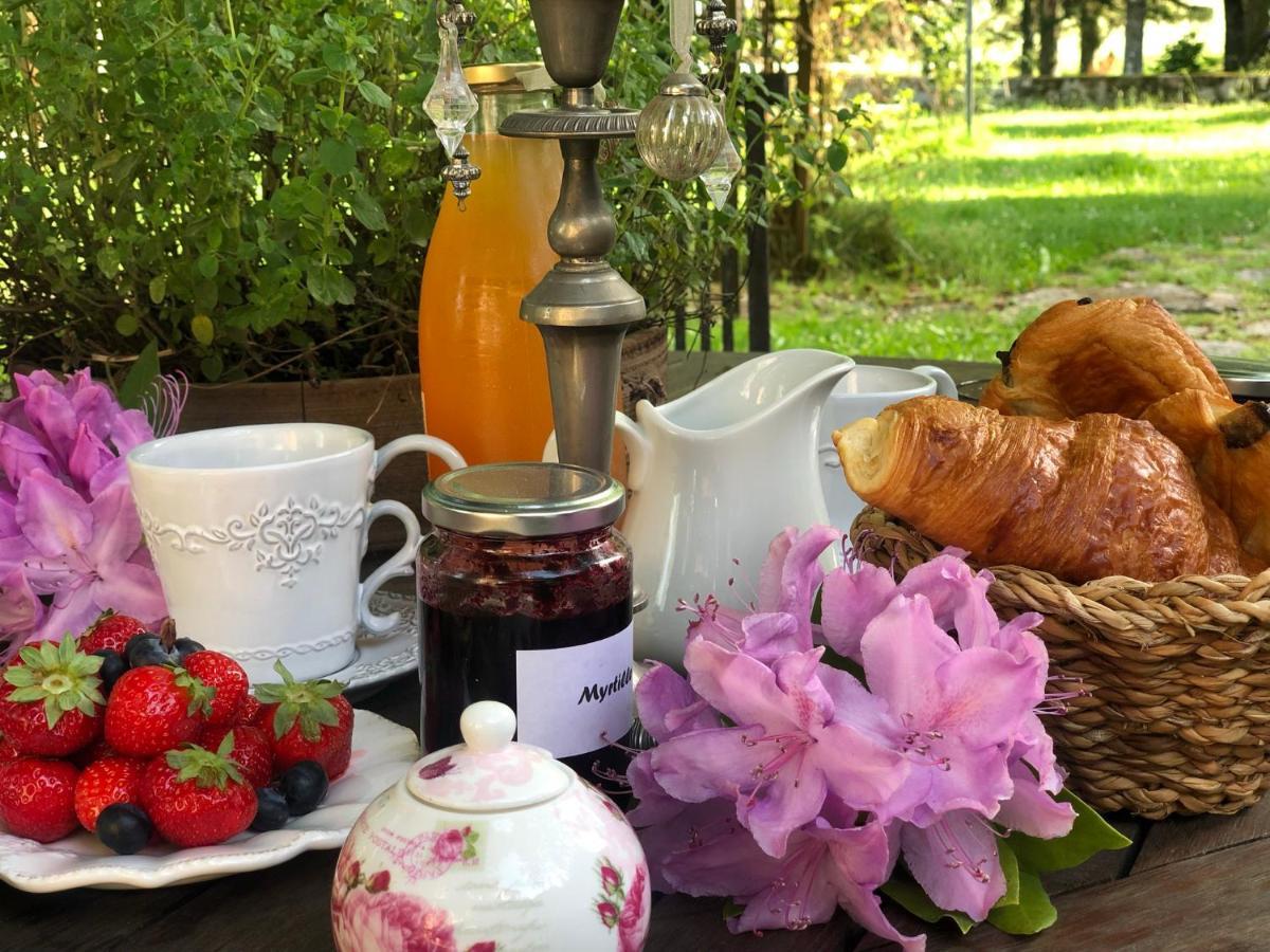 Manoir De Chantemerle Sainte-Fortunade Dış mekan fotoğraf