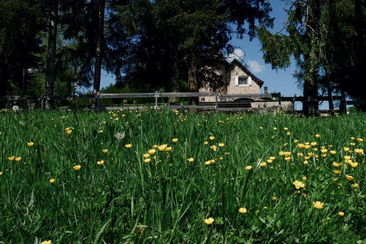 Manoir De Chantemerle Sainte-Fortunade Dış mekan fotoğraf