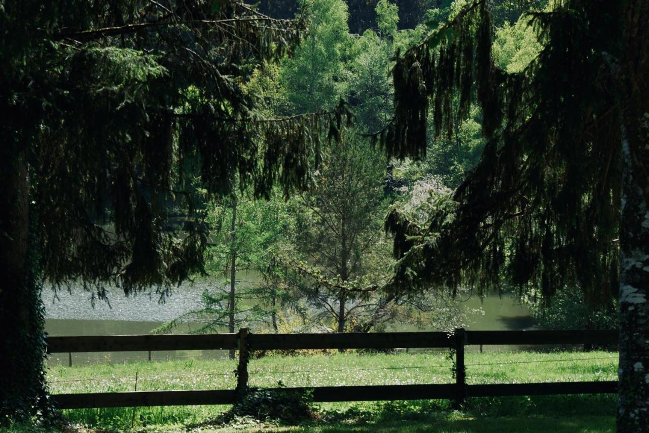 Manoir De Chantemerle Sainte-Fortunade Dış mekan fotoğraf