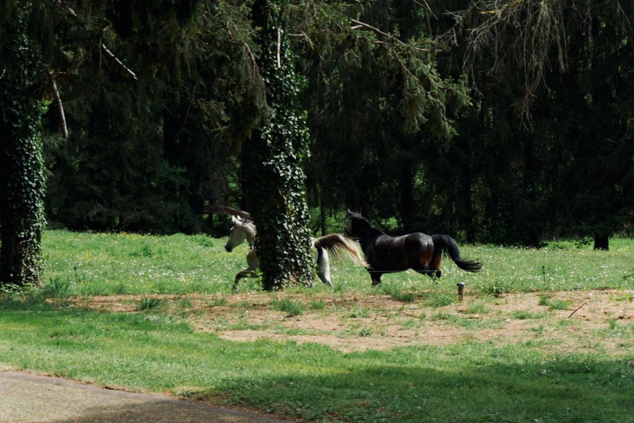 Manoir De Chantemerle Sainte-Fortunade Dış mekan fotoğraf