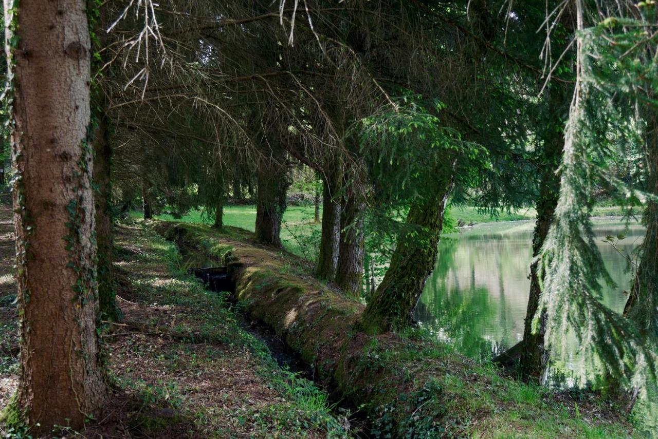 Manoir De Chantemerle Sainte-Fortunade Dış mekan fotoğraf