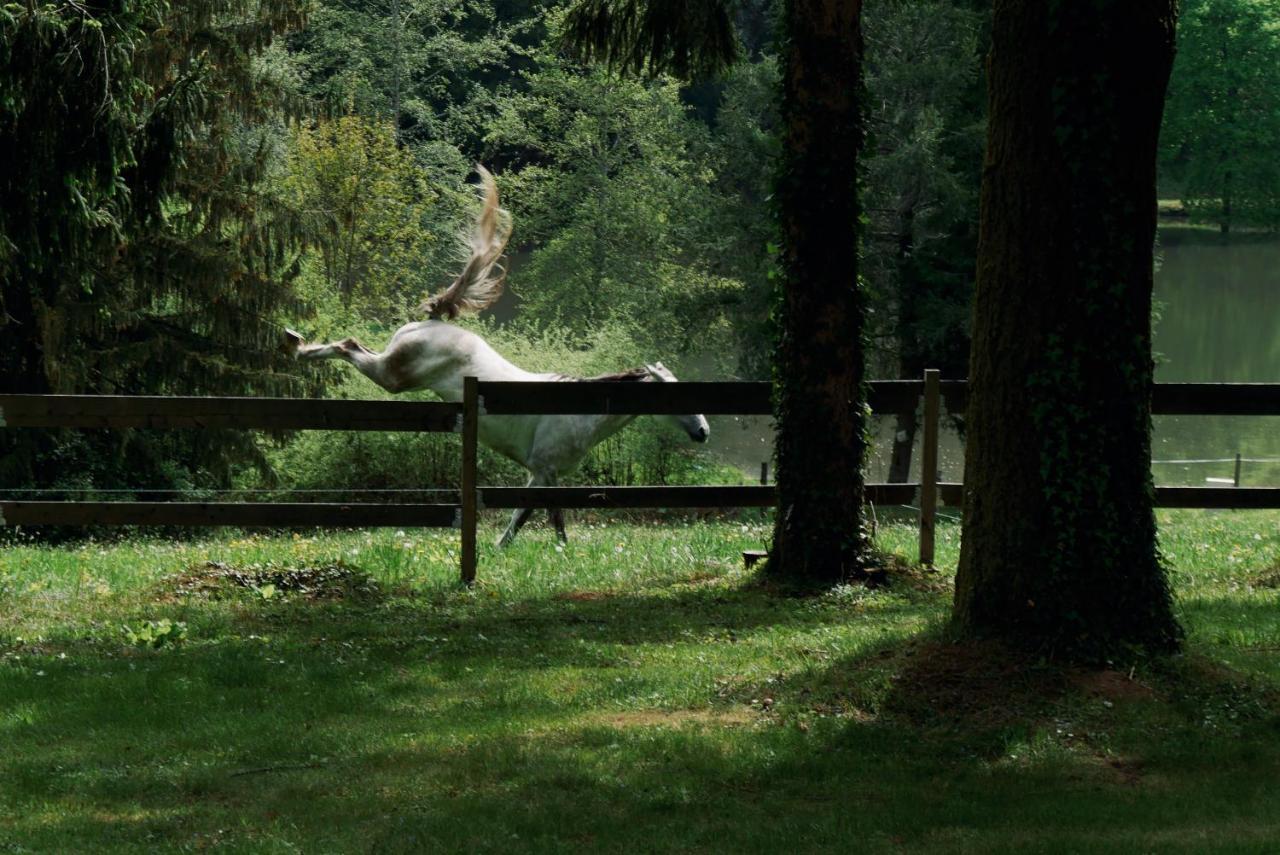 Manoir De Chantemerle Sainte-Fortunade Dış mekan fotoğraf